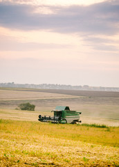 Fototapeta premium The harvester harvests from the field