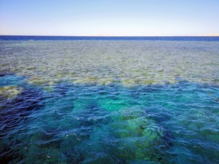 Fototapeta na wymiar Corals at Red Sea