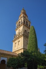 Obraz premium Mezquita - Cathedral of Cordoba belfry