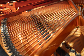 Flügel der Firma C.Bechstein