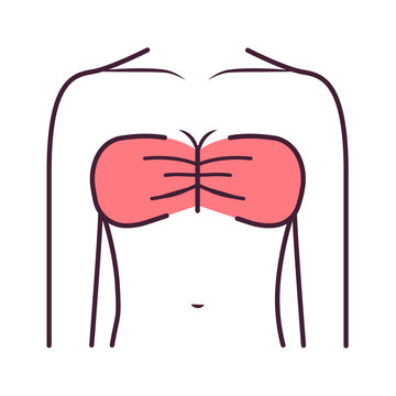 Band lingerie color line icon. Type of lingerie. Supports the breast strapless. Pictogram for web page, mobile app, promo. UI UX GUI design element. Editable stroke.