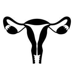 Naklejka premium Uterus vector icon