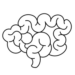 Intestine line vector icon