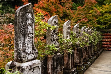 Rows of Buddha statues in an outdoor Daisho-in Buddhist temple on the island of Miyajima against colorful autumn foliage.