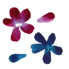 Set of watercolor simple flowers and petals in purple and turquoise colors. Hand-drawn flower illustration. Decorative element for design, textile, posters, cards