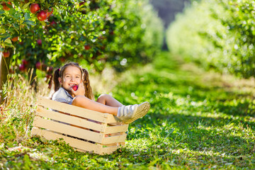 Little girl with red apple outdoor, in lush orchard, sits in wooden crate.