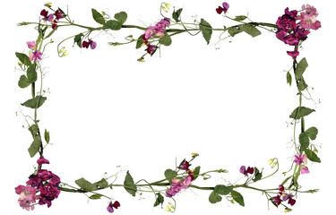  frame of purple flowers interlaced isolated on white background for inscription