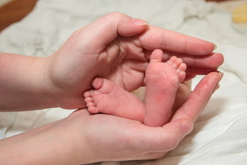Fototapeta na wymiar Small feet-heels of a newborn grabbed and hold the hands of the baby's mother
