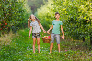 Fototapeta premium Funny siblings holding a basket full of apples together and grinning at the camera, standing on an alley in garden.