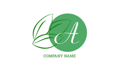Vector logo design with leaves with letter A. Sophisticated business sign template, ID card, label, restaurant sign. Calligraphic elegant frame for initials.