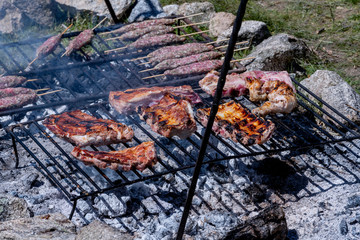 Obraz na płótnie Canvas Close-up of an outdoor barbecue, with chops and steaks
