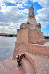 Petersbsurg - rzeżba sfinksa na nabrzeżu rzeki Nwe. - obrazy, fototapety, plakaty