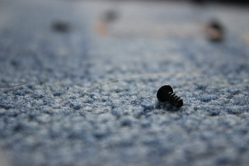 screw on the carpet