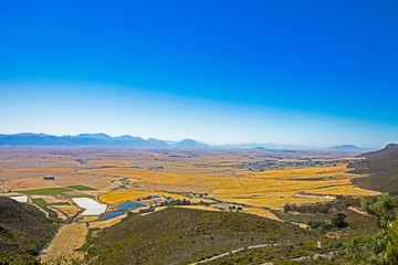 Landscape of brown fields in Western Cape