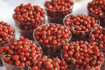 Closeup red cranberries in glasses