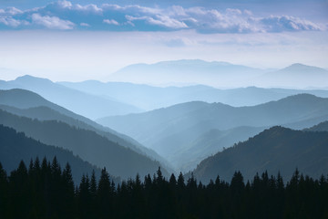 Majestic landscape of summer mountains. A view of the misty slopes of the mountains in the distance. Morning misty coniferous forest hills in fog and rays of sunlight. Travel background. 