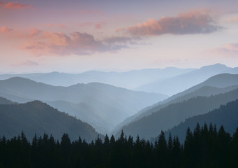 Beautiful landscape of summer mountains at sunrise. Misty slopes of the mountains in the distance. View of morning forest hills in fog and rays of sunlight. Concept of the awakening wildlife.
