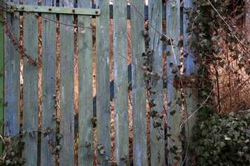 Old wooden fence with peeling green paint