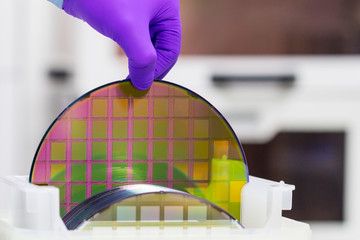 Silicon Wafer with semiconductors in plastic white storage box take out by hand in gloves inside...
