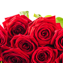 Close up bouquet of red roses on a white background for Valentines day. Isolated on white. Square composition