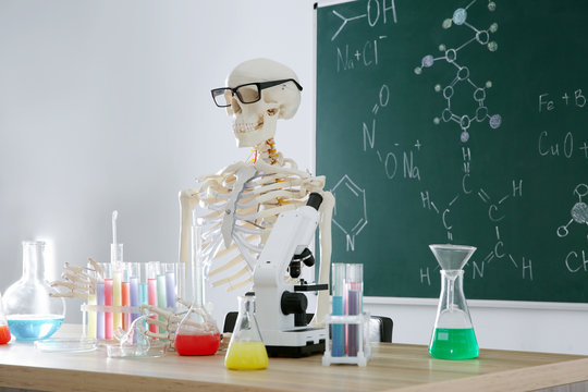 Skeleton And Different Chemistry Glassware In Classroom