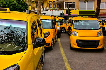 Group of yellow taxis parked in the city center under the trees. On the roofs and sides of cars...