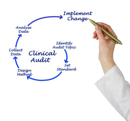 Six Steps of Clinical Audit.