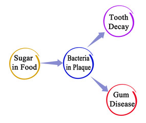 From Sugar in Food to diseases