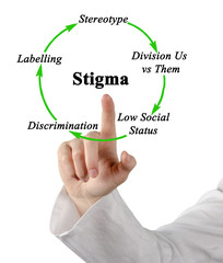 Components of cycle of stigma