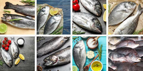 Collage with different delicious fresh raw fishes