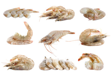 Set of fresh raw shrimps on white background