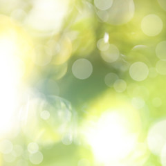 Fototapeta na wymiar Blurred view of abstract green background, bokeh effect. Springtime
