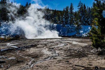 NORRIS GEYSER BASIN, BLACK HERMIT CALDRON, Yellowstone National Park