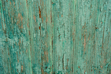 Fototapeta na wymiar Wooden surface with crumbling paint. Textured background of old lumber surface with crumbling turquoise paint outside shabby building