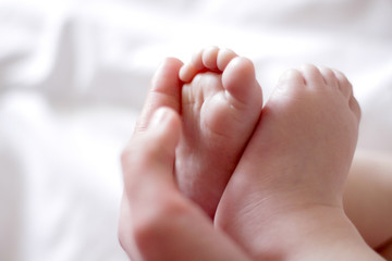 two legs of a newborn in the hand of an adult