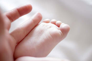 leg of a newborn in the hand of an adult