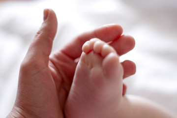 Obraz na płótnie Canvas leg of a newborn in the hand of an adult
