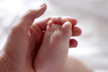 leg of a newborn in the hand of an adult