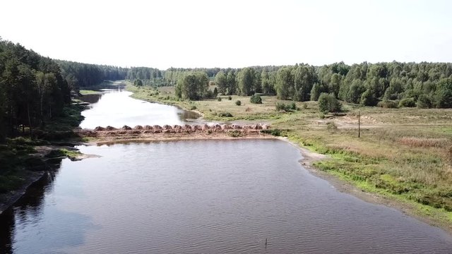 pond in the forest for fishing
