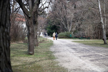 couple walking in the park early spring, trees without leaves 