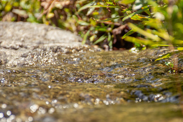 Agua de riachuelo en Xochitlán