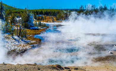 GREEN DRAGON SPRING, NORRIS GEYSER BASIN, Yellowstone National Park