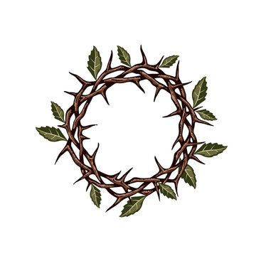 jesus crown of thorns with leaves image isolated on white background 