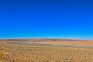 Salt pan in Kalahari Desert