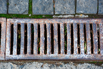 The lattice of metal grate in the paving stones