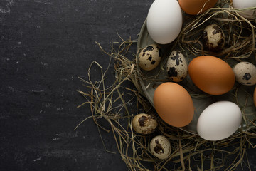 Quail eggs and chicken eggs on green plate and hay with gray background, flat lay