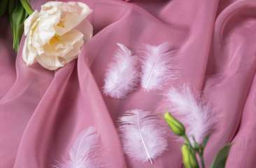 white feathers with a tulip on a pink background
