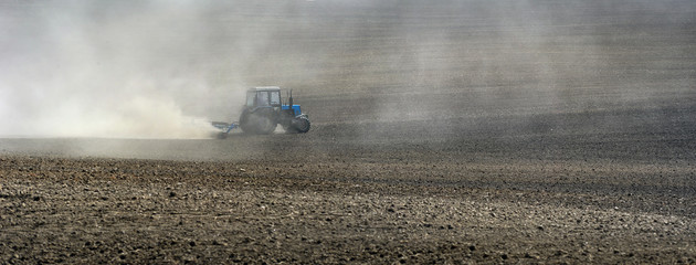 Fototapeta premium dust clouds on a plowed field behind little blue tractor in preparation for sowing.