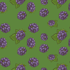 Seamless pattern with blackberries on a green background in vintage style