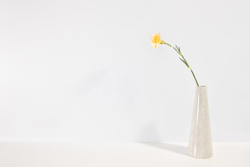 One yellow clove flower in a vase on the white table. Minimalist Scandinavian interior design.